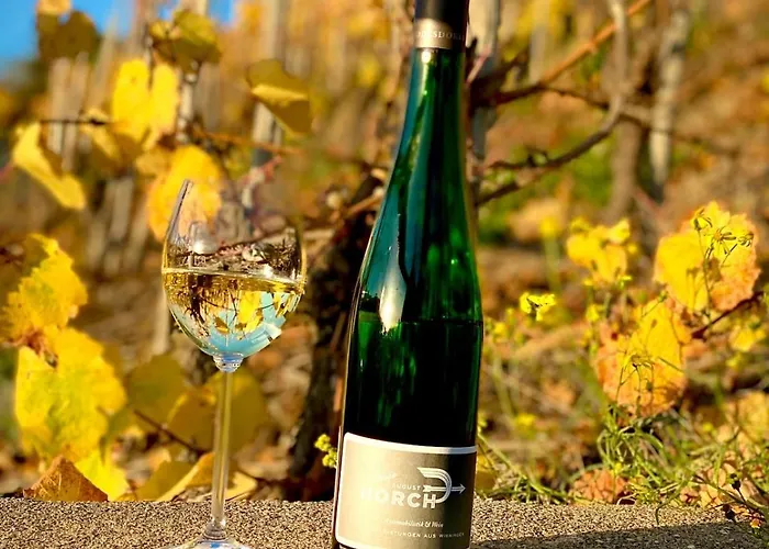 Winelicious - Arrive & Enjoy Winningen