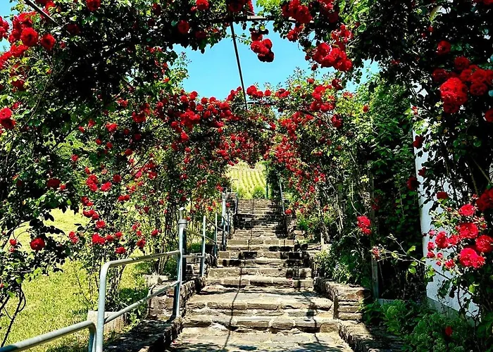 Winelicious - Arrive & Enjoy