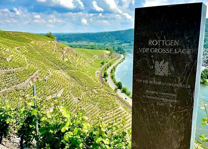 Winelicious - Arrive & Enjoy *