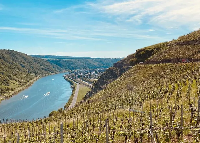 Winelicious - Arrive & Enjoy *